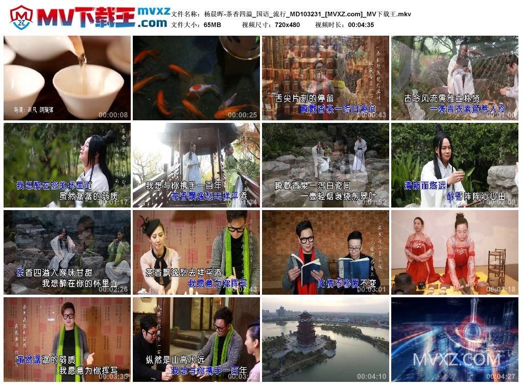 杨晨晖-茶香四溢_国语_流行_MD103231